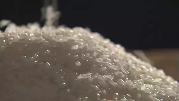 「高止まり続くコメ価格今後どうなる？ “米価暴落”懸念…在庫量増でJA新潟中央会長が見通し「今後は下がる」」の画像