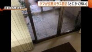 【クマ】「とにかく怖い」クマが会社の玄関ガラス割る…近隣住民は恐怖心あらわに「こんな住宅街まで来るとは」新潟・三条市