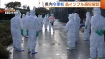 新潟県内今シーズン初の“鳥インフル”感染確認 胎内市の養鶏場で約63万羽の殺処分始まる