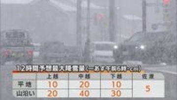 冬型の気圧配置となり各地で平年を上回る積雪  1日も山沿い中心にまとまった降雪予想　大雪や雪崩に注意　新潟
