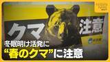 「冬眠明けのクマと人が遭遇しやすい春「クマも山菜食べに来る」　音を出す物の携帯・複数人での活動が重要に」の画像1