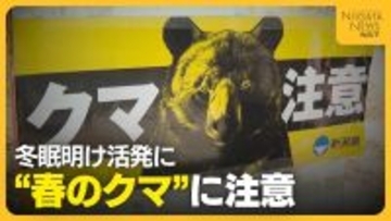 冬眠明けのクマと人が遭遇しやすい春「クマも山菜食べに来る」　音を出す物の携帯・複数人での活動が重要に