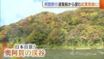 大河×紅葉！阿賀野川ライン遊覧船で秋の彩り満喫「船の中から見える景色とガイド楽しんで」新潟