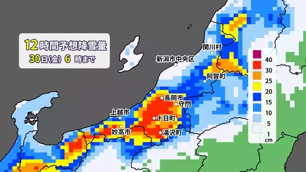 【大雪情報】30日にかけて山沿い中心に平地でも大雪の恐れ　局地的に積乱雲が発達する見込み　山沿いで70cm、平地で30cmの降雪予想
