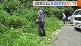 「世界遺産『佐渡島の金山』構成遺産で草刈り作業　西三川砂金山のシンボル“虎丸山”を覆う雑木は今後伐採へ　新潟」の画像1