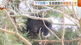 「【クマ】新潟県内の推定生息数は8700頭超「対策に向け正確に把握を」　自動撮影カメラの設置増やし精度向上へ」の画像1
