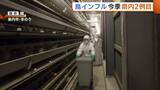 「【鳥インフル】新潟県内今季2例目の感染で約28万羽の殺処分開始 知事は衛生管理の徹底指示「より強い危機感を」」の画像1