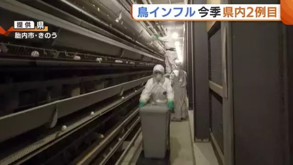 【鳥インフル】新潟県内今季2例目の感染で約28万羽の殺処分開始 知事は衛生管理の徹底指示「より強い危機感を」
