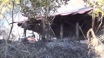 【火事】新潟・佐渡市で小屋全焼の火事・1人死亡　所有者の92歳男性と連絡とれず