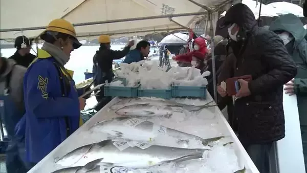 冬の味覚を堪能“寒ぶりまつり”今季記録的不漁も少しずつ水揚げ増 関係者は今後の大漁を期待「もう少し気温が下がれば」新潟・佐渡