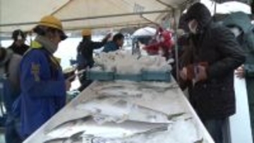 冬の味覚を堪能“寒ぶりまつり”今季記録的不漁も少しずつ水揚げ増 関係者は今後の大漁を期待「もう少し気温が下がれば」新潟・佐渡