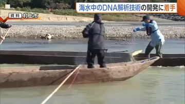 不漁の要因“海水温上昇”の影響把握へ　新潟県が“海水中のDNA”解析技術開発に着手「漁業者の所得向上・経営安定につなげる」