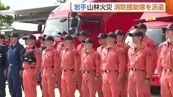 延焼続く岩手・大槌町の山林火災…新潟県が“緊急消防援助隊”を派遣「安全第一で活動を」