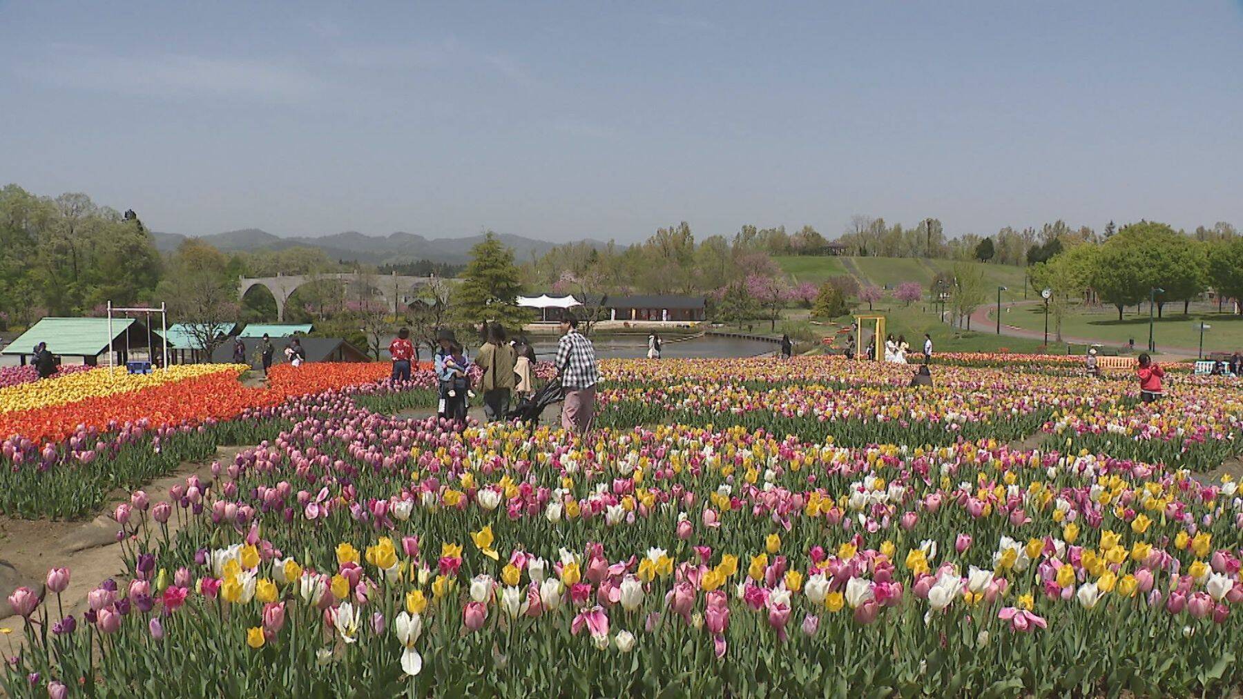 専門家に聞く“GW節約術”　「買い物をレジャー代わりにしない」おすすめは国立・国定公園　テーマパークに行く場合は“パッケージツアー”活用を