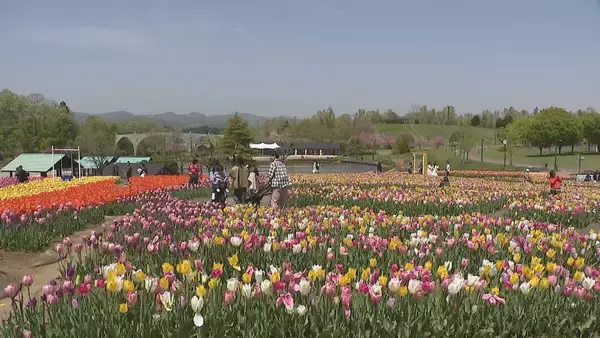 「専門家に聞く“GW節約術”　「買い物をレジャー代わりにしない」おすすめは国立・国定公園　テーマパークに行く場合は“パッケージツアー”活用を」の画像