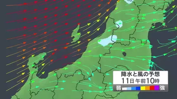 【新潟の天気】各地雨も気温上昇↑ 風は11日にかけて強まる見込み…県内全域で“強風”に注意を