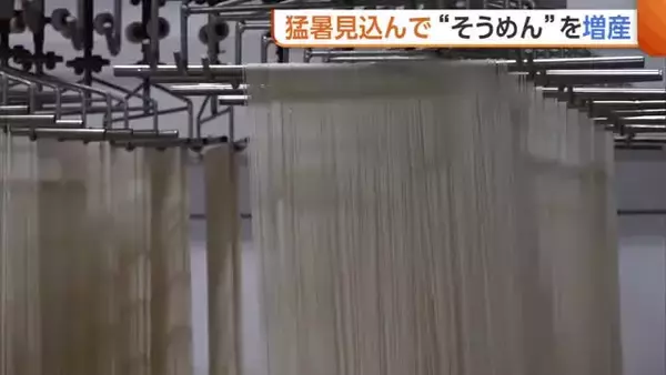 猛暑見込み“そうめん”増産！おいしさの秘密は“8枚”重ねの生地「そうめんで暑い夏乗り切って」新潟・長岡市