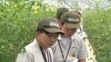 「高校生が農作業中の“熱中症予防”を呼びかけ「自分は大丈夫と思わないで」　新潟県内2日連続で警戒アラート発表」の画像1