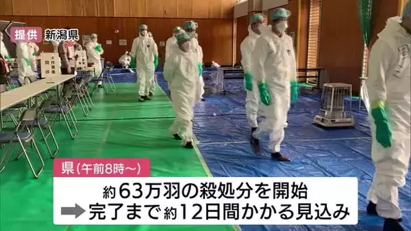 新潟県胎内市の養鶏場で鳥インフルエンザ感染確認 県内で今季初 約63万羽の殺処分始まる  2年前にも同じ養鶏場で発生
