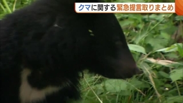 “人のクマ慣れ”出没相次ぎ危機感薄れる…知事会が緊急提言を取りまとめ 過疎・高齢化地域では対応に難しさも「手入れできていない柿の木どうするか」