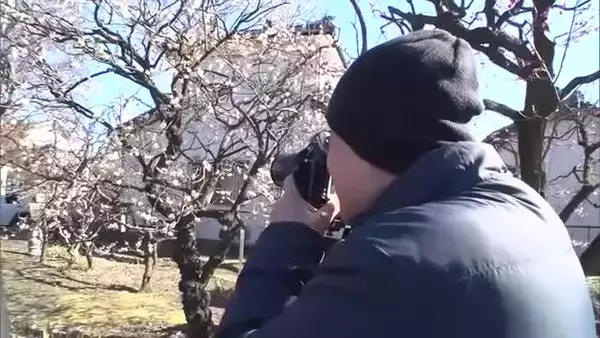 ≪26日の新潟県≫春の陽気 広く4月上旬並みの気温に 「2月とは思えない」開花が進む梅を楽しむ人の姿も