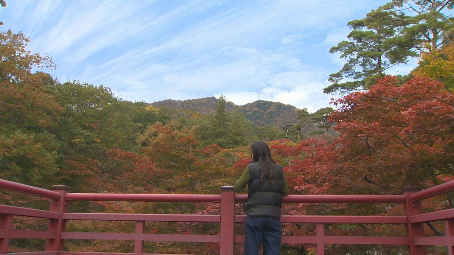 全国を旅してきた女性画家…「影にも目を当てられるようになった」自問自答の中で“過去の痛み”を作品に