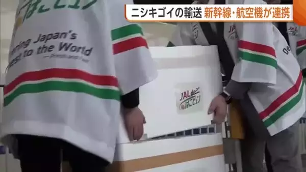 新幹線×航空機連携で“ニシキゴイ”輸送　約3時間の短縮・安定輸送を実現「輸送手段増えること期待」　新潟・小千谷市