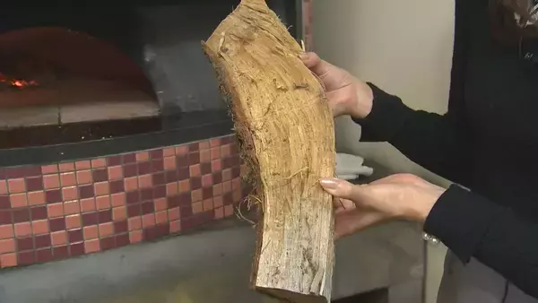 「長岡市の“絶品ピザ” 生ハムに県産ルッコラ…店主がこだわり抜いた1枚！「ピザの味だけでなく空間も味わって」【新潟グルメ】」の画像