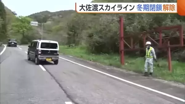 『大佐渡スカイライン』冬期閉鎖を解除「佐渡の絶景見て」 雪割草やタンポポも春の訪れを歓迎！