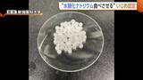 「当時中3男子生徒が下級生に“水酸化ナトリウム”食べさせた問題　第三者委調査で“いじめ”と認定　新潟・五泉市」の画像1