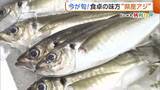 「刺身になめろう！“新潟県産アジ”が旬迎える　スーパーで選ぶときのポイントは「光沢と厚み」」の画像1