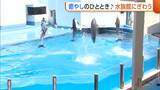 「GW最終日にぎわう“水族館”　華麗なイルカショーに癒やしのマリントンネル堪能！新潟・マリンピア日本海」の画像1