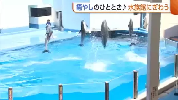GW最終日にぎわう“水族館”　華麗なイルカショーに癒やしのマリントンネル堪能！新潟・マリンピア日本海