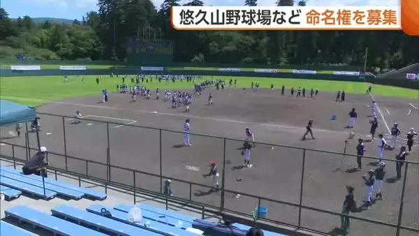 新潟・長岡市が“ネーミングライツ”募集　『悠久山野球場』は年額1000万円以上を希望「使用料は市民サービスの充実に」