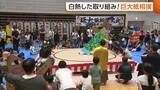 「【山の日】巨大紙相撲に小学生が大興奮♪段ボールで制作した紙相撲で対決「ひと夏の思い出に！」　新潟市西区」の画像1