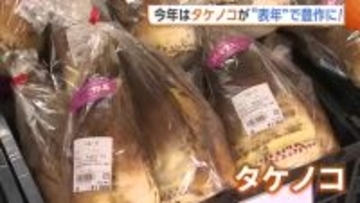 今年は“表年”で豊作！旬迎えた“タケノコ”に100人以上の行列「タケノコと一緒に新潟の春楽しんで」