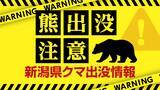 「【クマ目撃情報】新潟・村上市でクマ目撃　国道345号付近　警察がパトロール」の画像1