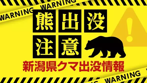 【クマ目撃情報】新潟・村上市でクマ目撃　国道345号付近　警察がパトロール