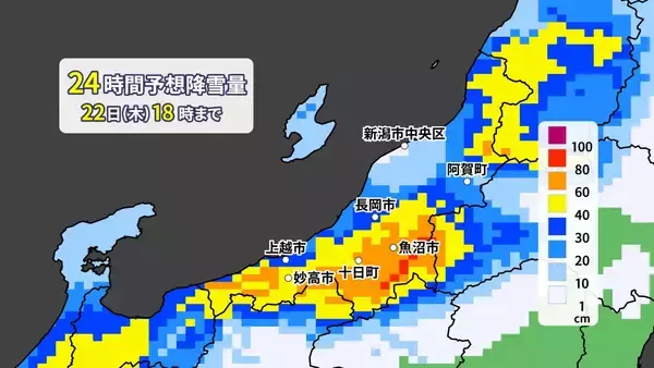 【大雪情報】今後の雪は？21日夜に1回目の大雪ピークか　中越の平地でも70cmの降雪予想　その後も降り続く見込み