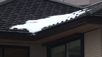 ≪11日の新潟県≫気圧の谷や寒気の影響で広く雨 冷え込みは緩まり雪崩の発生などに注意 夜まで落雷も