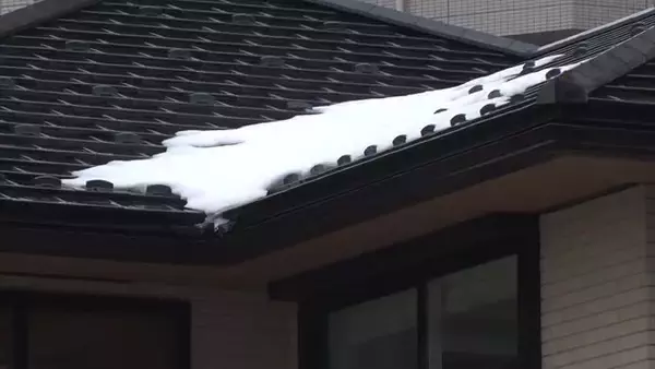 ≪11日の新潟県≫気圧の谷や寒気の影響で広く雨 冷え込みは緩まり雪崩の発生などに注意 夜まで落雷も