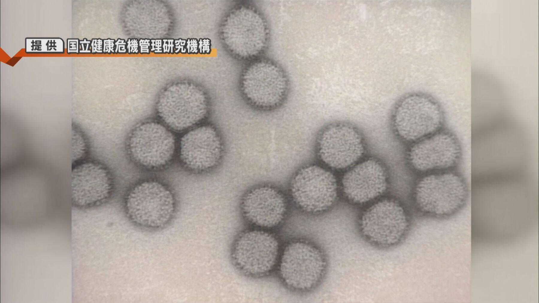 インフル感染拡大の背景に変異株“サブクレードK”　ワクチンの効果や家庭内感染の予防策を医師に聞いた