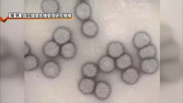 「インフル感染拡大の背景に変異株“サブクレードK”　ワクチンの効果や家庭内感染の予防策を医師に聞いた」の画像