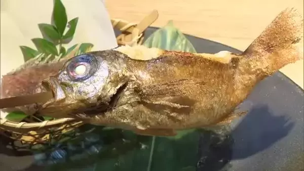 「すごい脂！」“養殖ノドグロ”を店舗で提供 世界初の完全養殖成功に海洋高校も協力