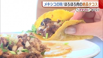 メキシコの味を新潟で！ほろほろ肉×もちもちトルティーヤの“絶品タコス”【新潟市中央区】#新潟グルメ