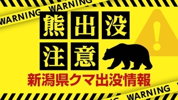 【クマ目撃情報】新潟・上越市で体長約1メートルのクマ目撃　民家まで約150メートル
