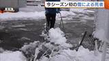 「除雪作業中に意識失った70代男性が死亡 雪による死者は今季初…新潟県が注意呼びかけ「除雪作業は2人以上で」」の画像1