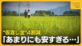 「【コメ余り】「あまりにも安すぎる」民間在庫量“過去最大”で“仮渡し金”4割減　大幅下落＋資材高騰で新潟の農家が危惧「経営成り立たなくなる」」の画像1