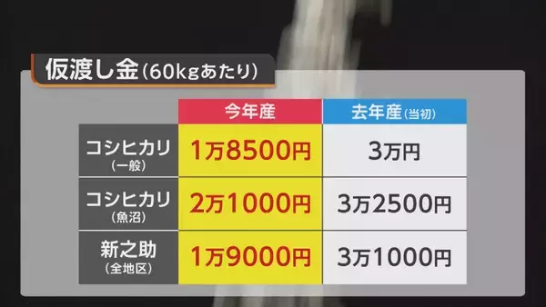 「【コメ余り】「あまりにも安すぎる」民間在庫量“過去最大”で“仮渡し金”4割減　大幅下落＋資材高騰で新潟の農家が危惧「経営成り立たなくなる」」の画像