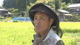 「【コメ余り】「あまりにも安すぎる」民間在庫量“過去最大”で“仮渡し金”4割減　大幅下落＋資材高騰で新潟の農家が危惧「経営成り立たなくなる」」の画像4